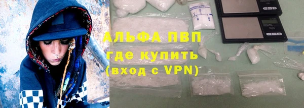 apvp Верея