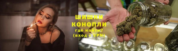 амф Верхний Тагил