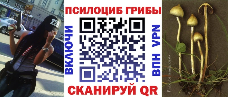 Псилоцибиновые грибы Psilocybe  продажа наркотиков  Верхотурье 